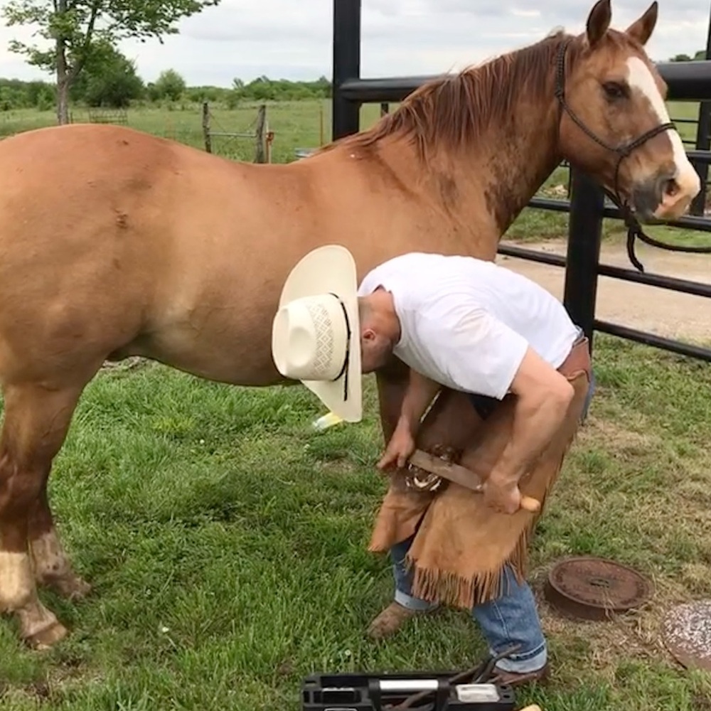 Meet your Posher, Brody